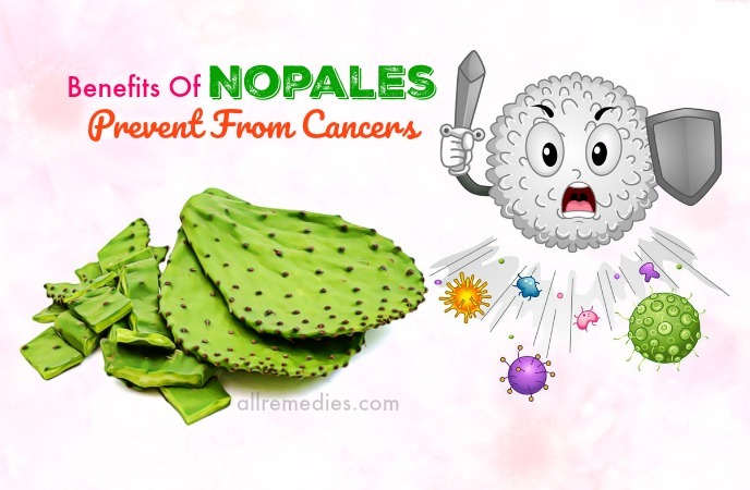 benefits of nopales