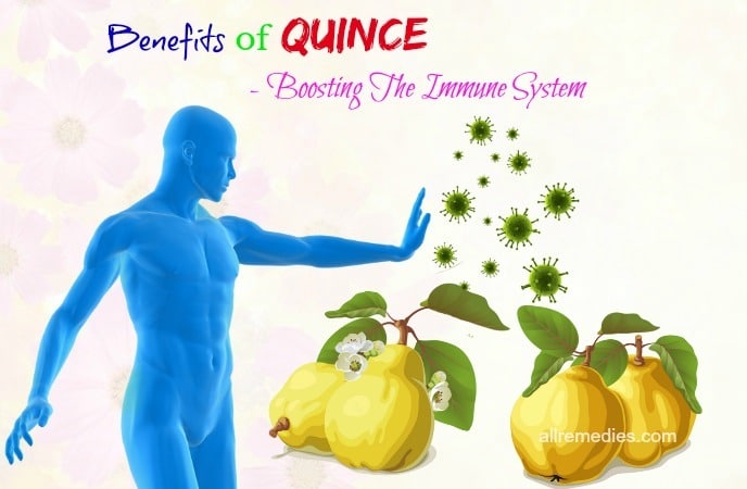 benefits of quince leaves