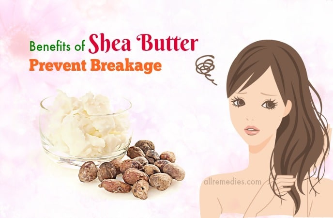 benefits of shea butter for hair